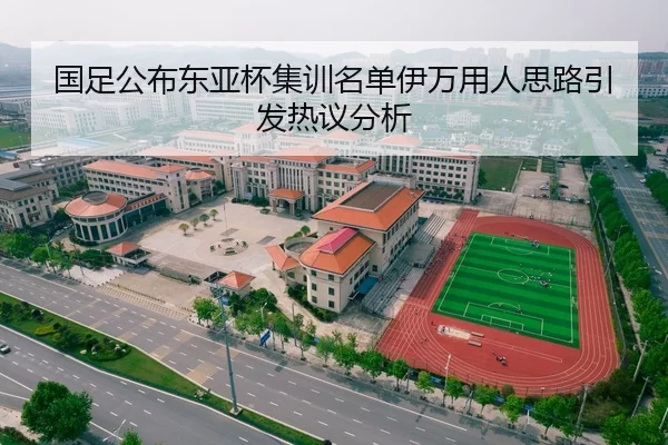 国足公布东亚杯集训名单伊万用人思路引发热议分析