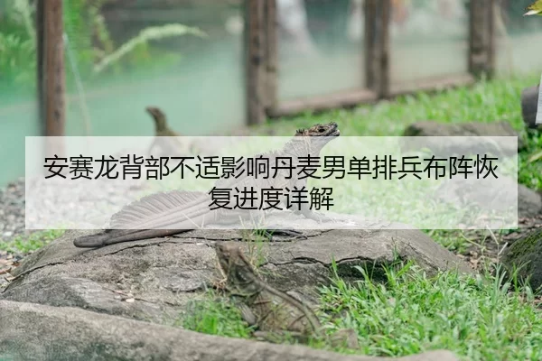 安赛龙背部不适影响丹麦男单排兵布阵恢复进度详解