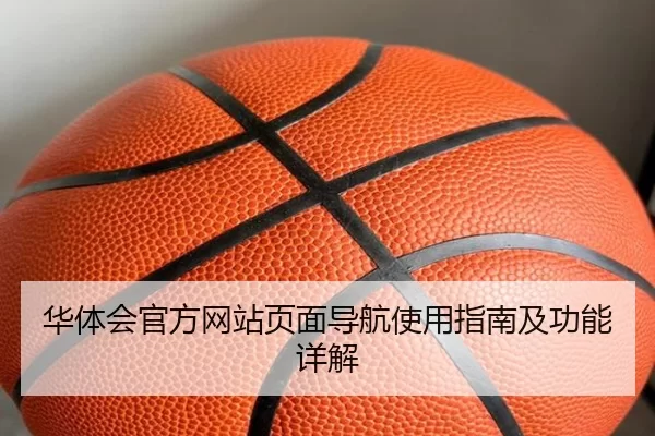 华体会官方网站页面导航使用指南及功能详解