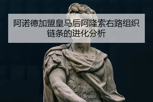 阿诺德加盟皇马后阿隆索右路组织链条的进化分析