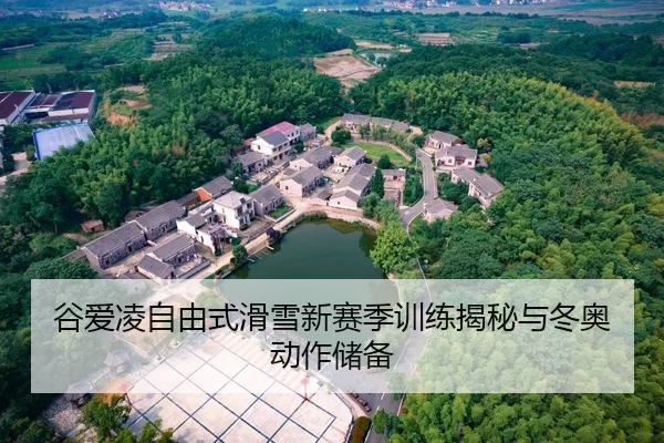 谷爱凌自由式滑雪新赛季训练揭秘与冬奥动作储备