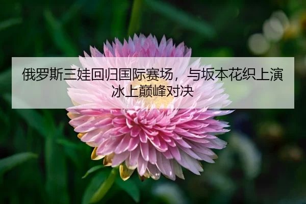 e-luo-si-san-wa-hui-gui-guo-ji-sai-chang-yu-ban-ben-hua-zhi-shang-yan-bing-shang-dian-feng-dui-jue-3-964.jpg