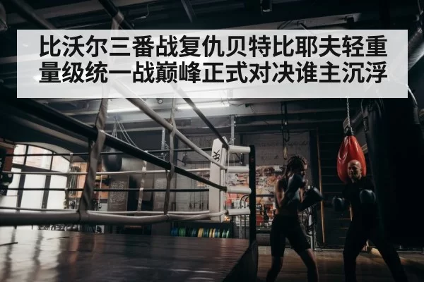 boxer training