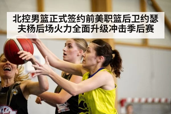 北控男篮正式签约前美职篮后卫约瑟夫杨后场火力全面升级冲击季后赛