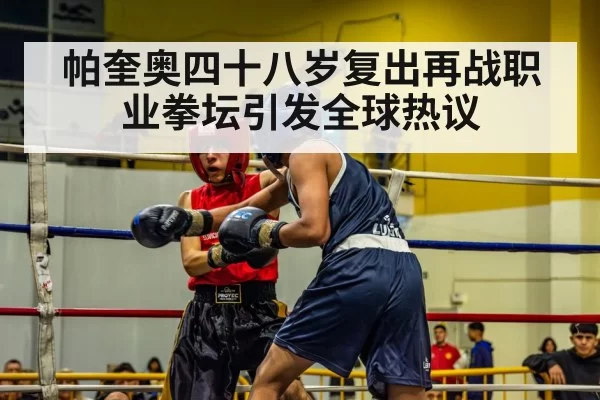 boxer in action